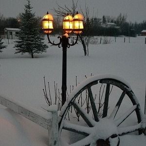 Meet your Posher, Vicki